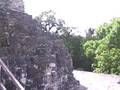 Maya tempels in Tikal, Guatemala