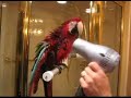 cody singing in the shower