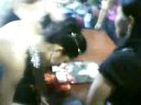 reinado del turismo yaguara 2008