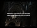 wells cathedral evensong recorded in the naive while on vacation during 1996.  part ii

http://www.wellscathedral.org.uk/shop/products.shtml