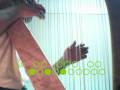 videos de Greensleeves