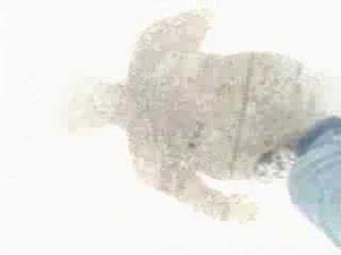 Video de Solar de Bengala