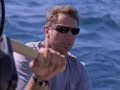 ALINGHI THE DREAM