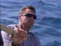 ALINGHI THE DREAM