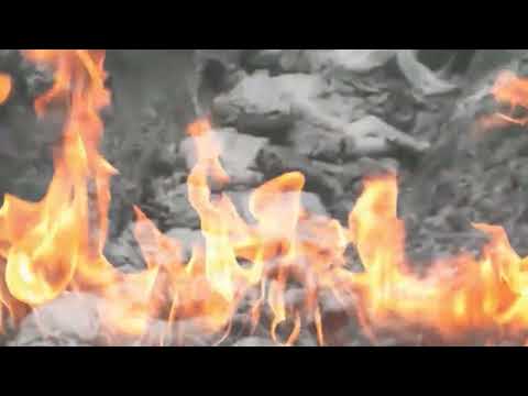 Наследники Великой Победы. 30 выпуск. 03.10.25