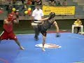 Sanshou - Paulo Veneri (Mogi Gua�u)