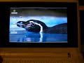 Asus EEE PC running xubuntu +compiz