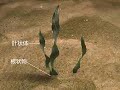 ??????????3D??????[800�600]