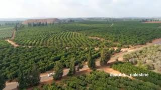 قرية تبصر ( خربة عزون ) المهجرة قلقيلية فلسطين ?? قرية تبصر ( خربة عزون ) المهجرة قلقيلية فلسطين ??