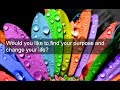 Click here to watch this video How to find your life purpose | Find your life purpose | Finding life purpose and Happiness