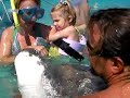 kim abi stingrays 3
