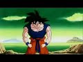 Tribute to Goku
