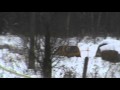 Parapetowa - Rally Land - Rallysprint - PS6 - Zolte SC [35]