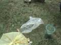 08scavengerhuntpart2