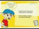 Cómo se elabora la leche