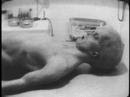 real aliens court on camera
