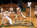 Au Capoeira Madison Roda