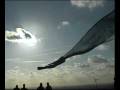 Halde Hoheward Drachen KISA.mov