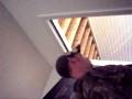 videos de 102_9116.MOV