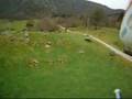 Modellhelikopter med kamera, Dale 17.11.2007 | Hakk i pannen
