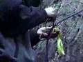 Nanning Creek Treesit (short)