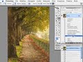 Effetto nebbia con Photoshop