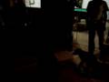 videos de Bezao do XT600 MG Dancando Funk
