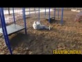 Best FAILS / WINS of April 2013! NEW! (2013 Compilation)