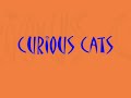 Winner of Pet Video Contest #4