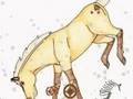 Kirara