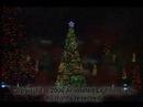 Cincinatti Zoo Christmas Display