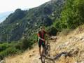 videos de Abies Nebrodensis in MTB