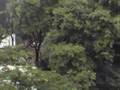 朝日新聞出版動画7