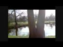 Bomen zijn relax (ruben,tim,vincent ect)