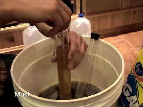 beginners guide on how to make apple wine