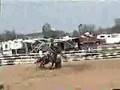 Barrel Horse for Sale  *Satin Rulla running Barrels