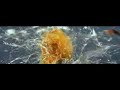 Cool High Speed Camera Bullet Commercial