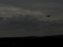 Seitenwindlandung.wmv