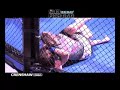 SUBzero Fighting -  Women - Williams vs Laubacker
