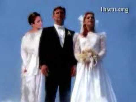 Lifting the Veil of Polygamy