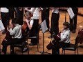 The Fountain Family Friends and Freedom - Nadia Burgess - Chamber Strings - SYO