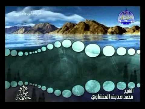 الشيخ محمد صديق المنشاوي | الجزء الحادي والعشرون - ( 3 / 4 )