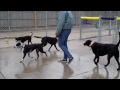 Click here to watch this video The 