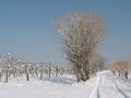 Shots from Garda Lake - Snow
