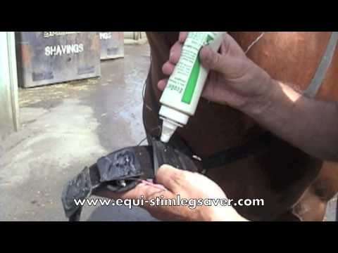 how to treat epiglottis