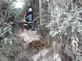 Bajando de Machu Picchu a Aguas Calientes 6