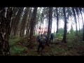 Operation Green-forest 2012 [LQ] part 1. - foto 1