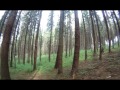 Operation Green-forest 2012 [LQ] part 1. - foto 3