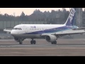 ANA Airbus A320-200 Landing at NRT 34R
