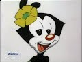 animaniacs macarena